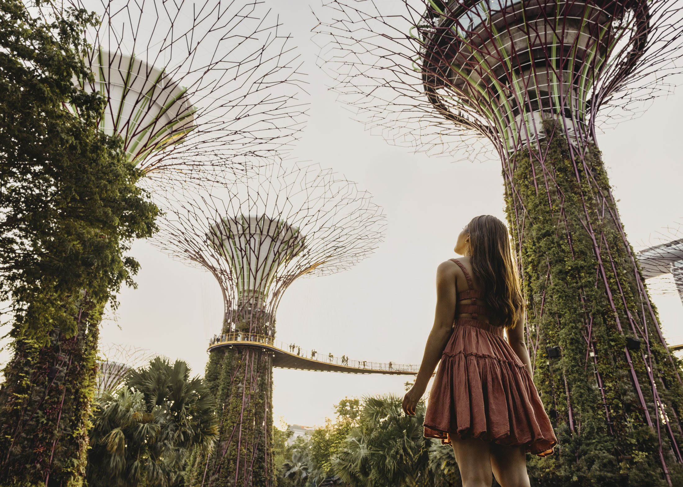 美爵| 商务酒店| 新加坡