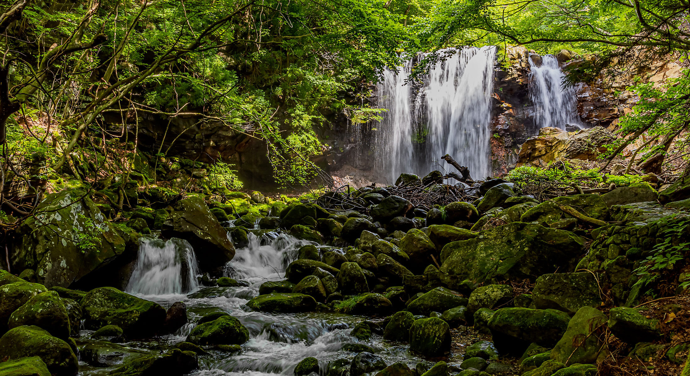 Nasu