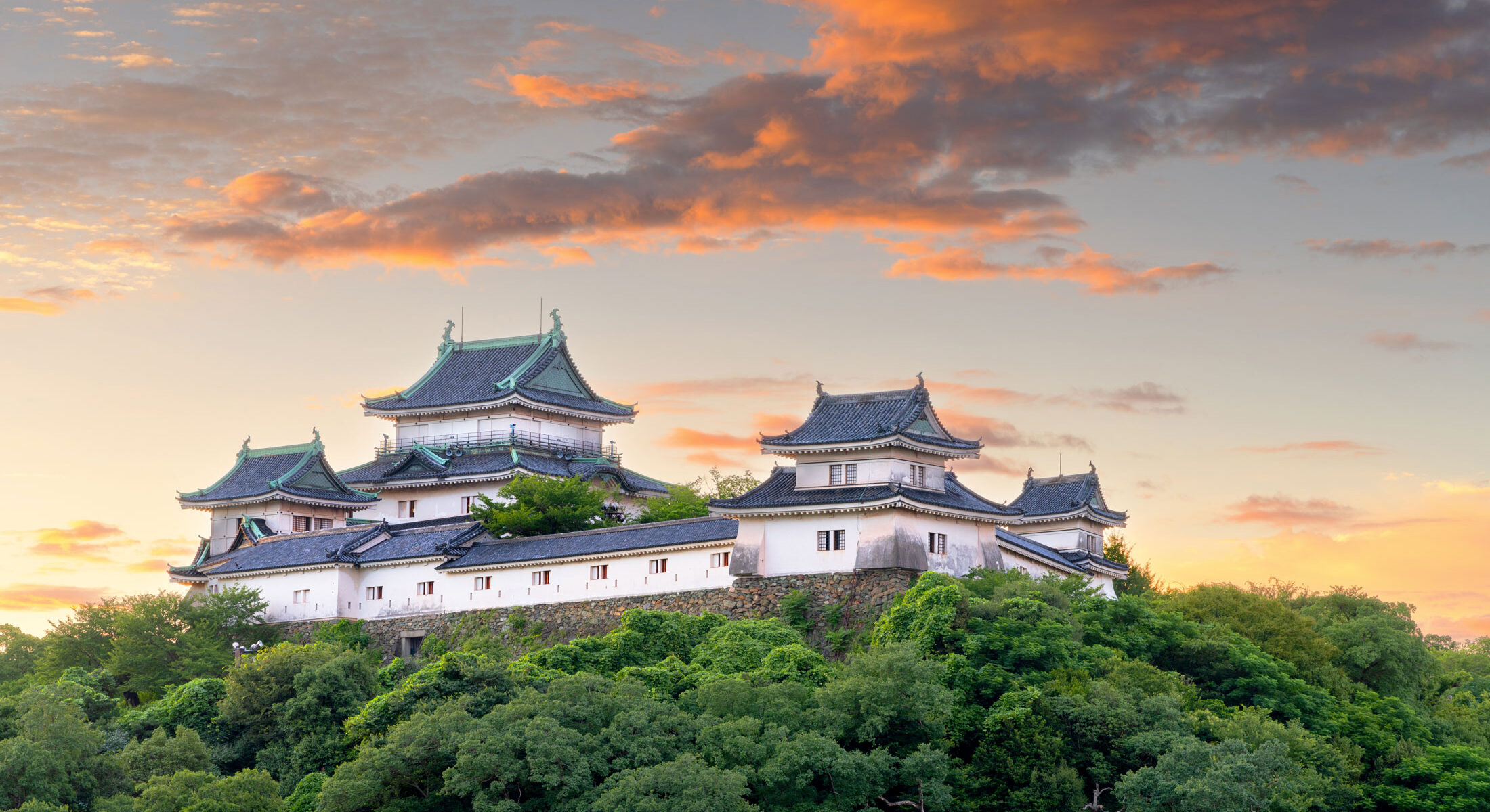 Wakayama